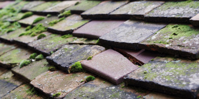 Pencarnisiog roof repair costs